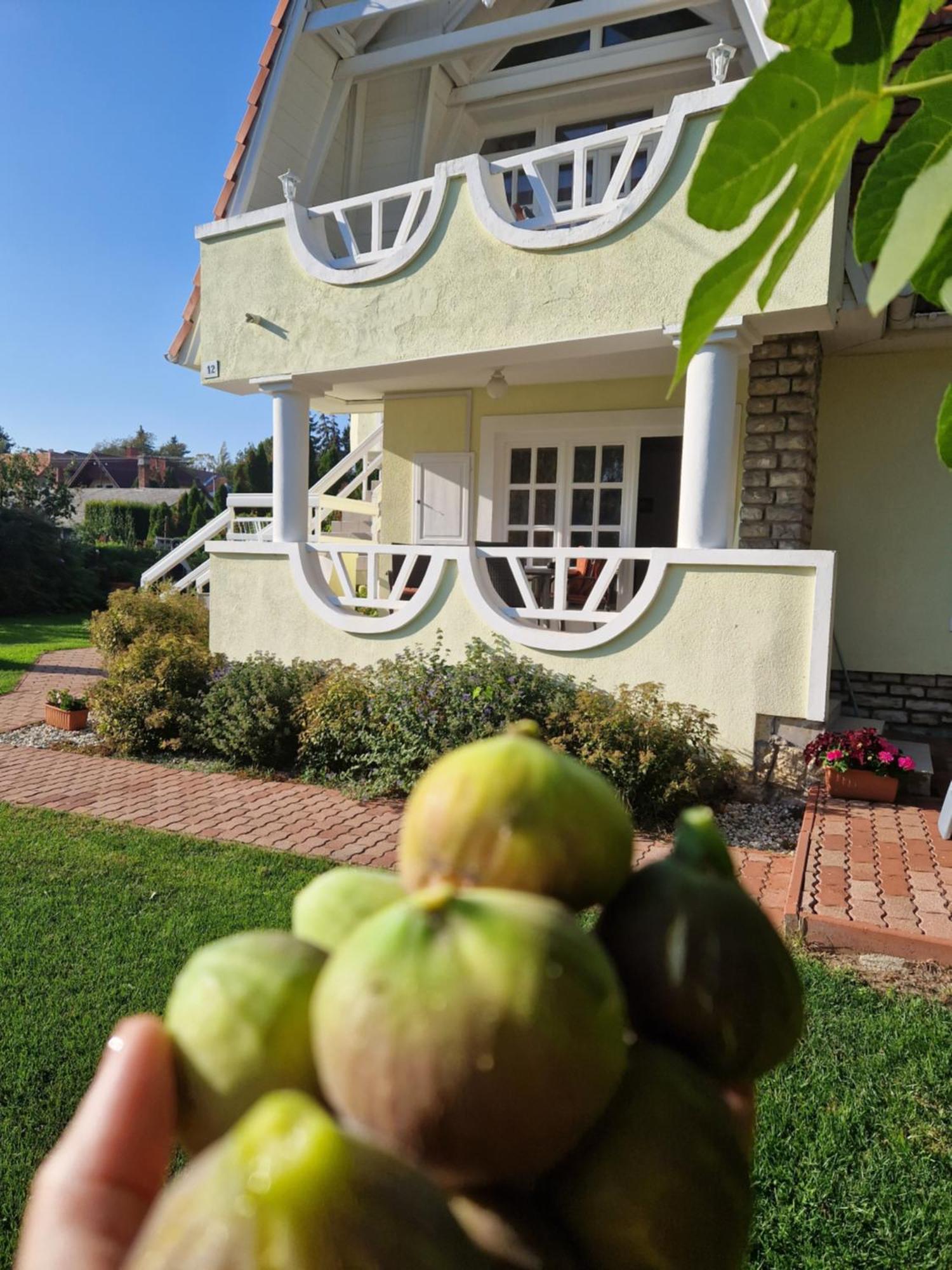 Balaton Apartman Fuered 巴拉顿菲赖德 外观 照片